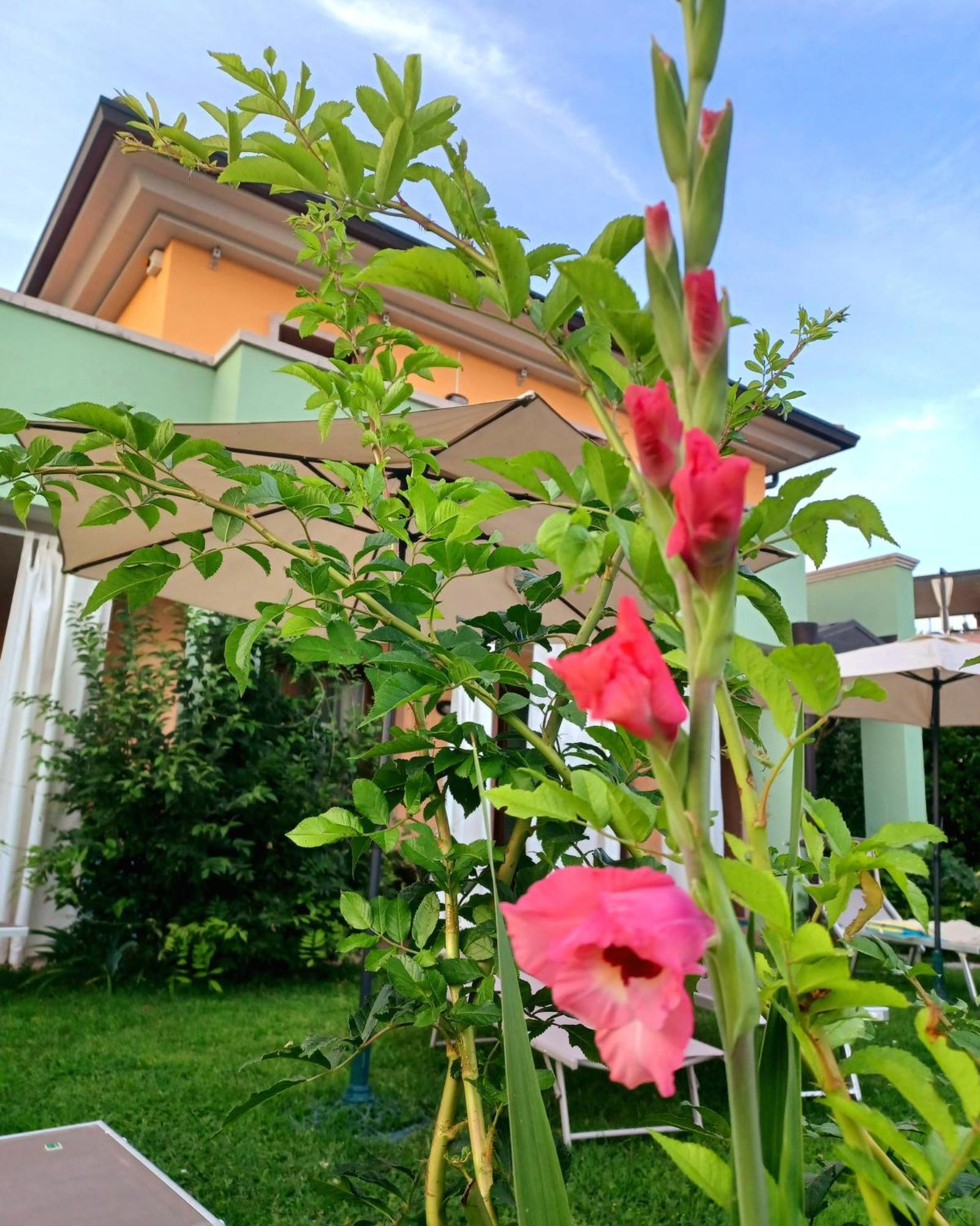 Regina Gardesana Villa Bagian luar foto
